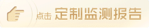 定制監(jiān)測報(bào)告