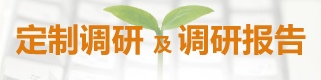 定制調(diào)研及調(diào)研報(bào)告