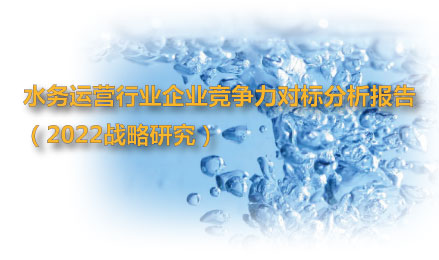 水務(wù)運(yùn)營戰(zhàn)略研究_企業(yè)競爭力對(duì)標(biāo)