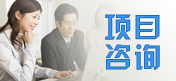項目咨詢